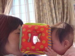 ����Ȃ����̐������L