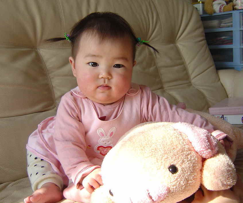 ����Ȃ����̐������L