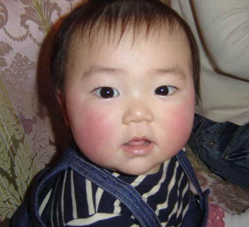 ����Ȃ����̐������L