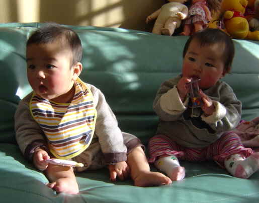 ����Ȃ����̐������L