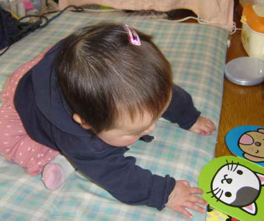 ����Ȃ����̐������L