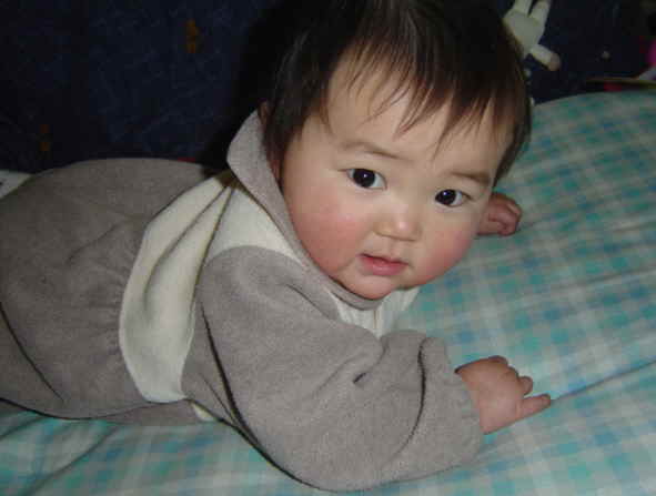 ����Ȃ����̐������L