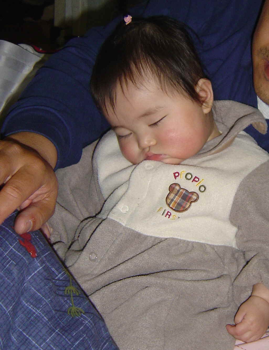 ����Ȃ����̐������L