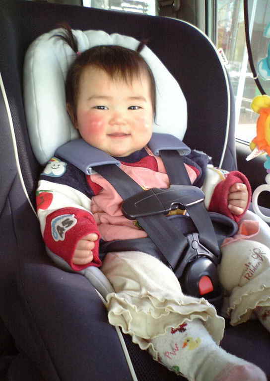 ����Ȃ����̐������L