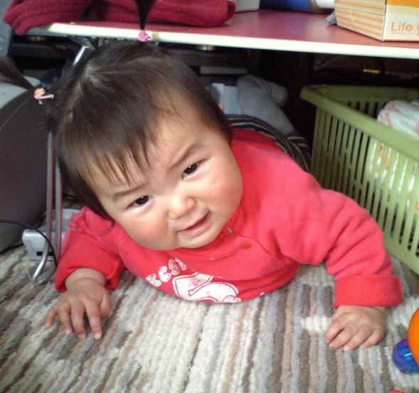 ����Ȃ����̐������L