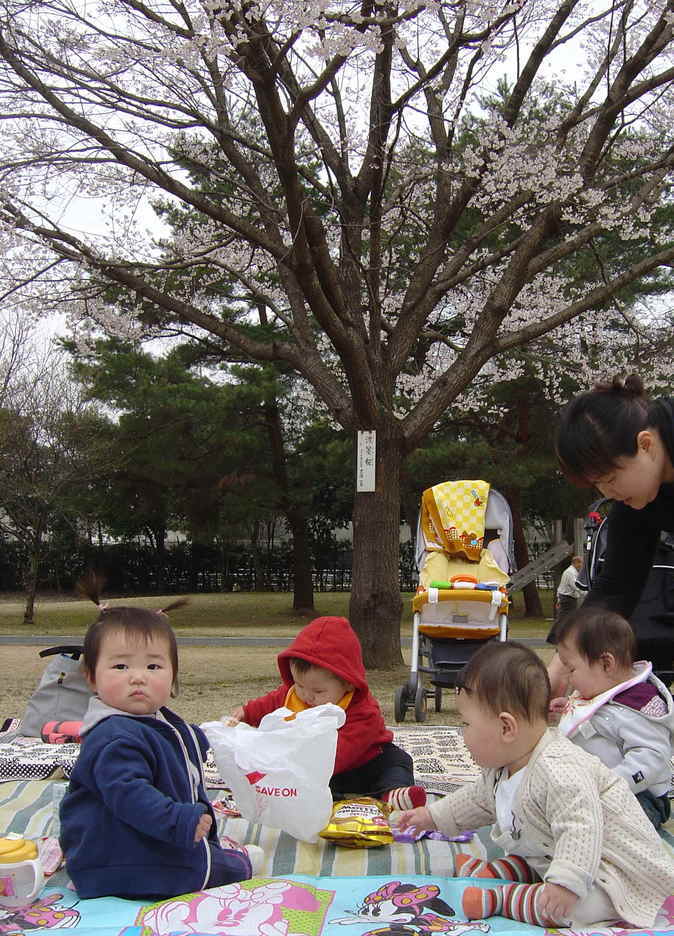 ����Ȃ����̐������L