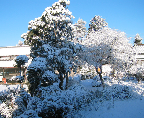 �������ƂԂ₫��