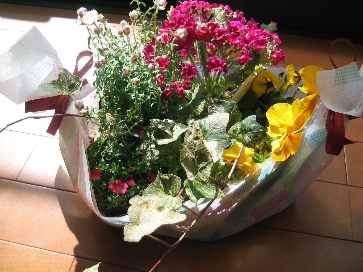 �������ƂԂ₫��