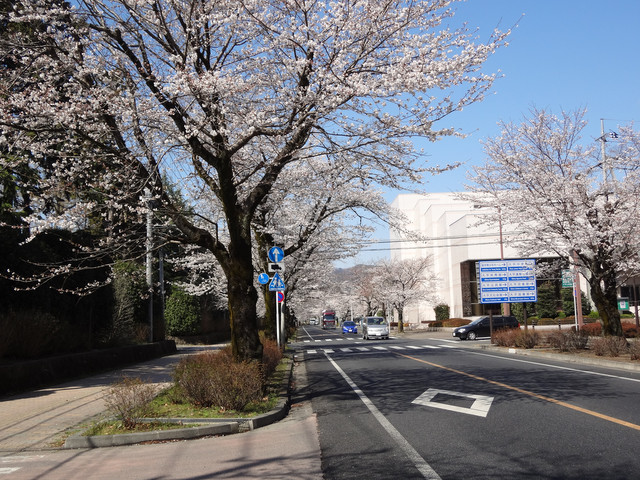 �������ƂԂ₫��