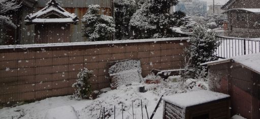 �������ƂԂ₫��