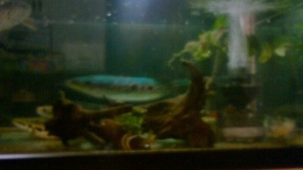 ���炯������