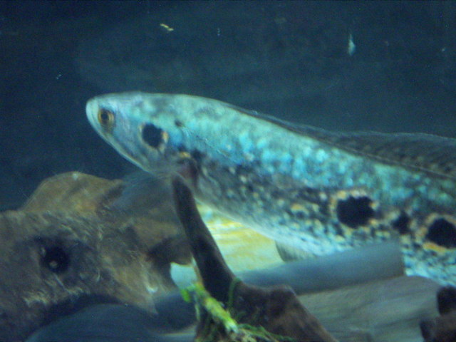 ���炯������