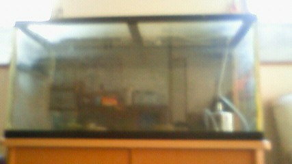 ���炯������