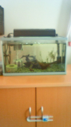 ���炯������