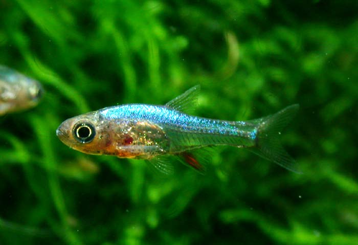 ���炯������