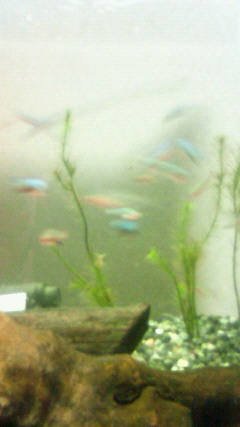 ���炯������