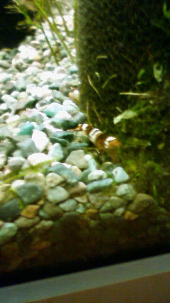 ���炯������