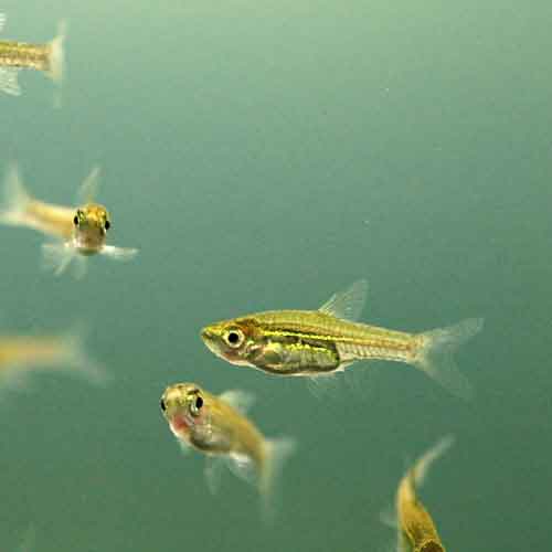 ���炯������