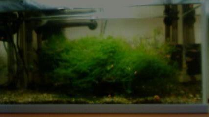 ���炯������