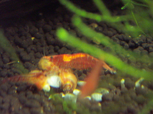 ���炯������