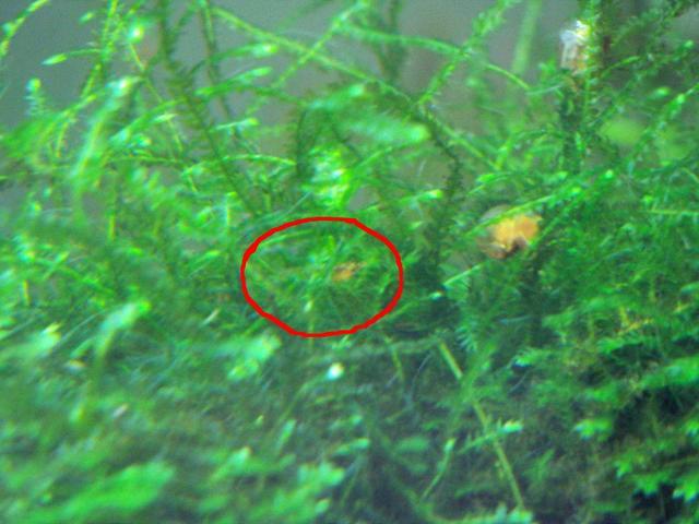 ���炯������