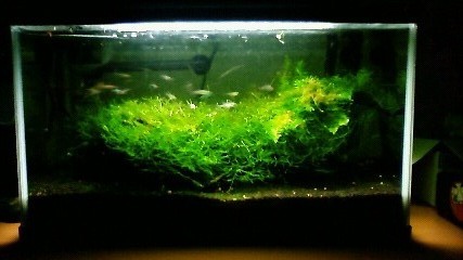 ���炯������