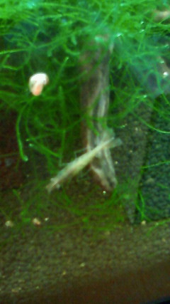 ���炯������