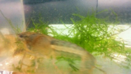 ���炯������