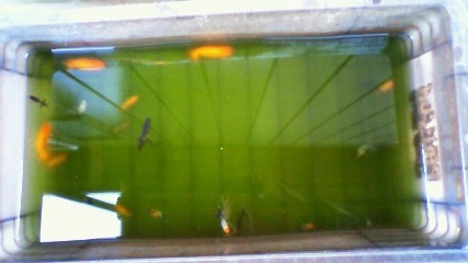 ���炯������