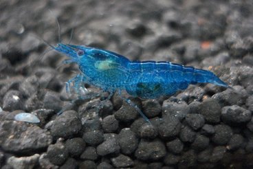 ���炯������