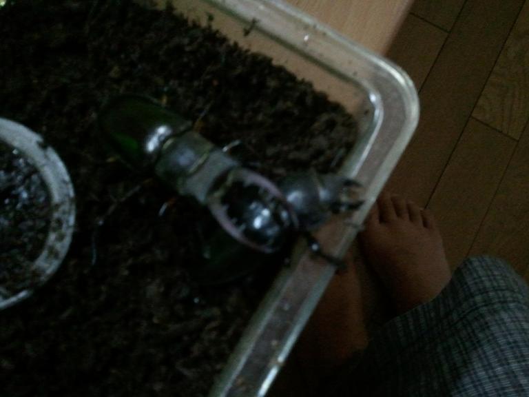 ���炯������