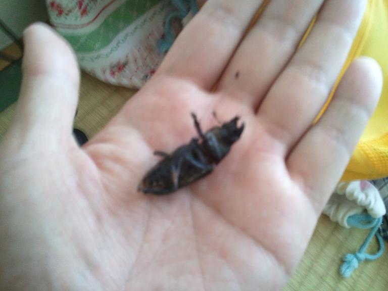 ���炯������