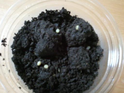 ���炯������