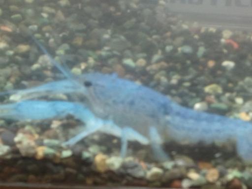 ���炯������