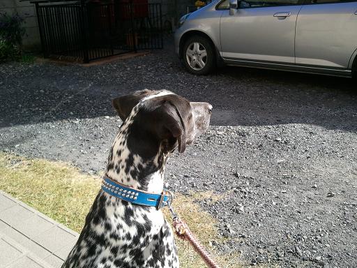 ���炯������