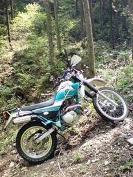 ���Ⴀ�o�C�N�ōs���΁H