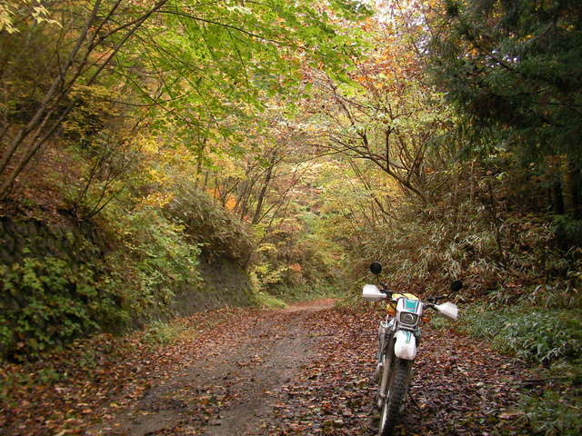 ���Ⴀ�o�C�N�ōs���΁H