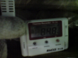 ���Ⴀ�o�C�N�ōs���΁H