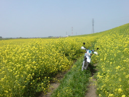 ���Ⴀ�o�C�N�ōs���΁H