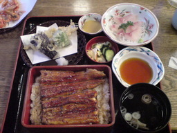 ���Ⴀ�o�C�N�ōs���΁H