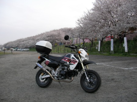 ���Ⴀ�o�C�N�ōs���΁H