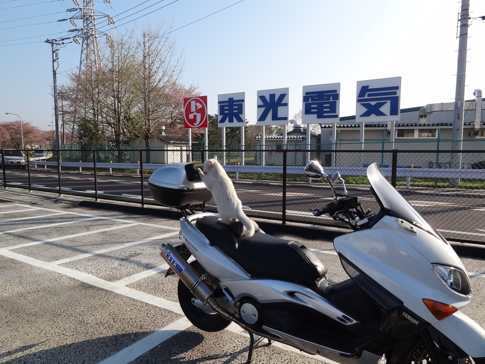 ���Ⴀ�o�C�N�ōs���΁H