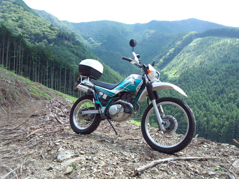 ���Ⴀ�o�C�N�ōs���΁H