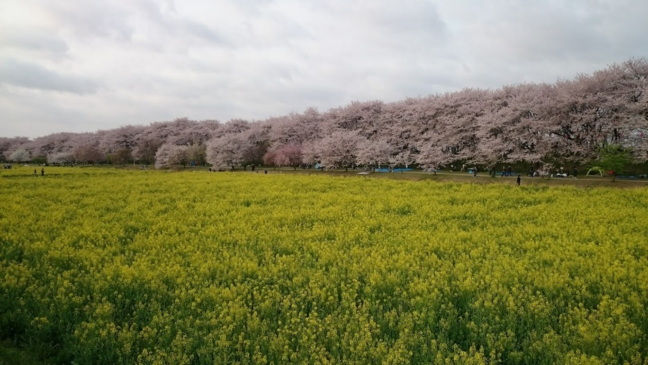 ���Ⴀ�o�C�N�ōs���΁H