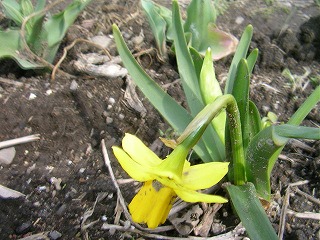 ���΂������̃I�J�V�i���L