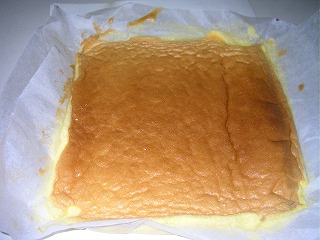 ���΂������̃I�J�V�i���L