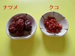 ���΂������̃I�J�V�i���L