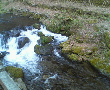 �{���Č����L