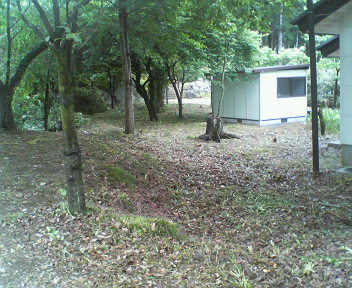 �{���Č����L