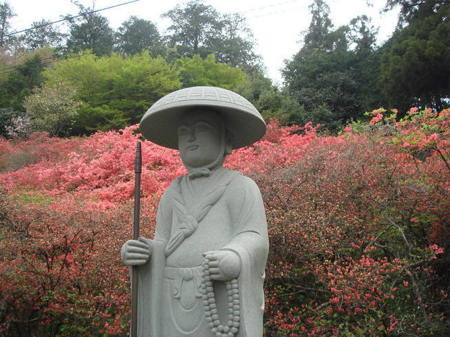 �{���Č����L